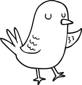 cartoon bird drawing png