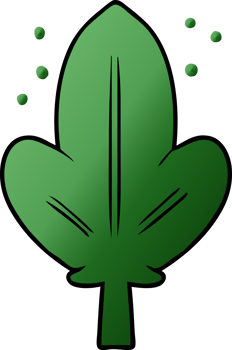 cartoon leaf drawing png