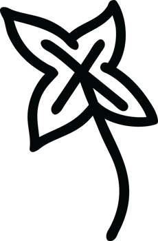 natural leaf icon png