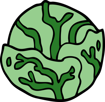 cartoon doodle cabbage png