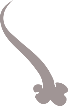 cartoon doodle expression bubble png
