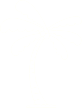 Palm Tree Chalk Drawing png