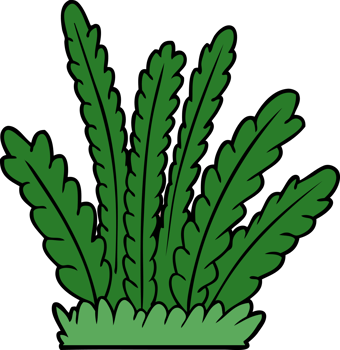 cartoon growing plants drawing png