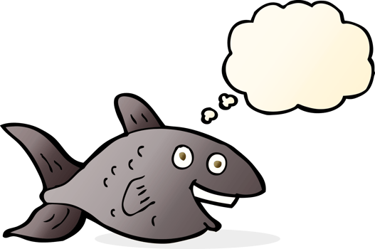 cartoon fish with thought bubble png