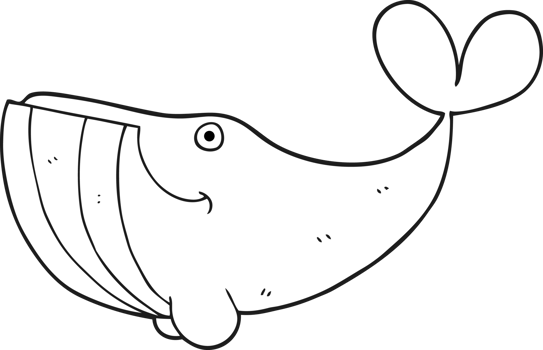 black and white cartoon happy whale png