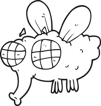 black and white cartoon fly png