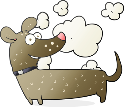 cartoon happy dog png