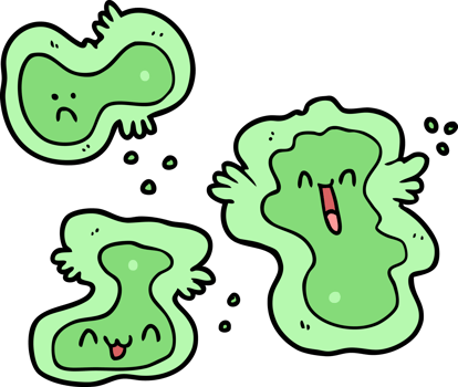 cartoon cells drawing png