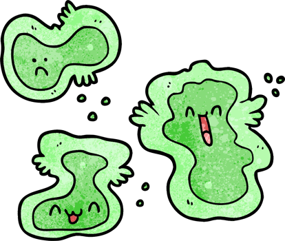 cartoon cells drawing png