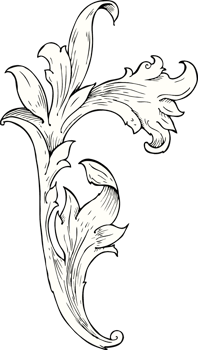 traditional hand drawn floral swirl png