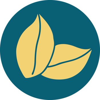 iconic tattoo style image of leaves png