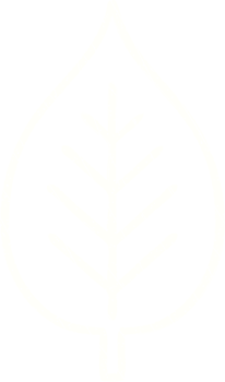 Leaf Chalk Drawing png