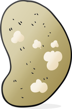 hand drawn cartoon potato png