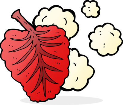 cartoon leaf symbol png