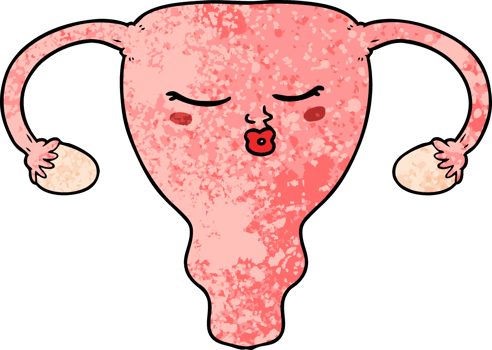 cartoon uterus drawing png