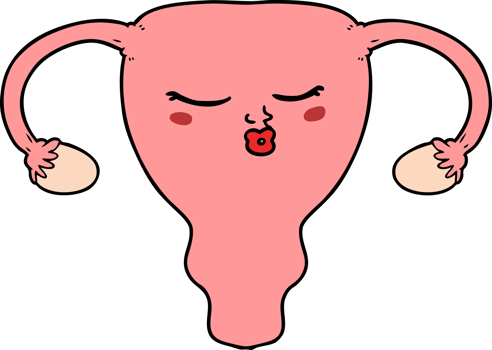 cartoon uterus drawing png