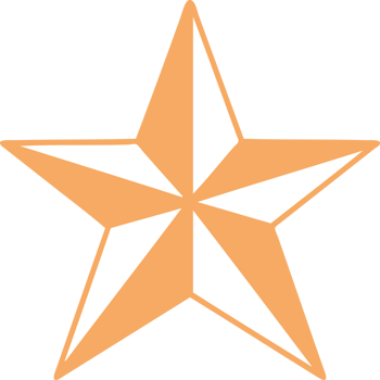 tattoo style icon of a star png