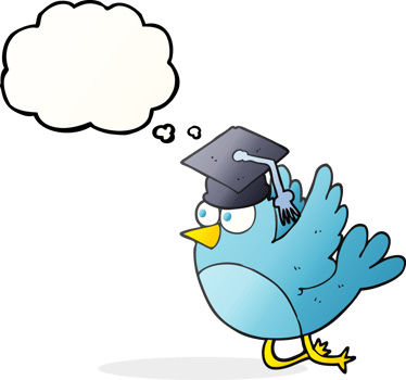 hand drawn thought bubble cartoon bird wearing graduation cap png