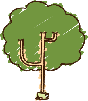 Tree Chalk Drawing png