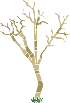 flat color style cartoon winter tree png