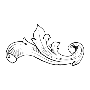 traditional hand drawn floral swirl png