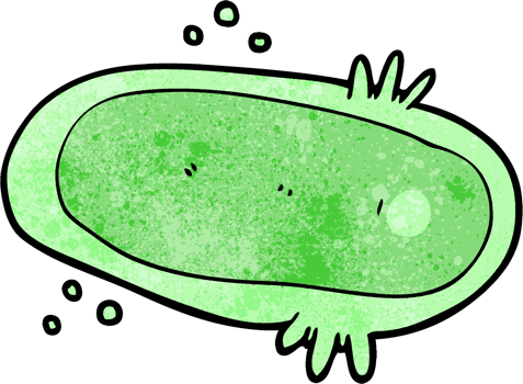 cartoon amoeba drawing png