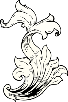 traditional hand drawn floral swirl png