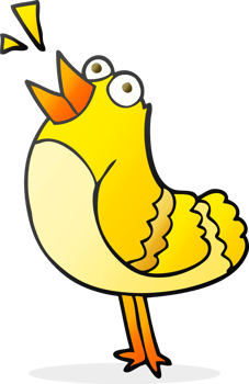 freehand drawn cartoon bird drawing png