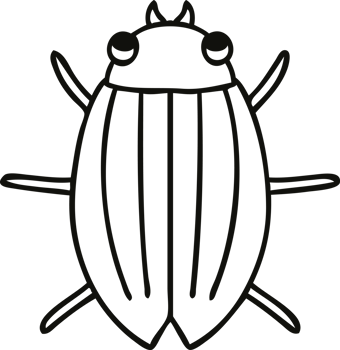 quirky line drawing cartoon beetle png