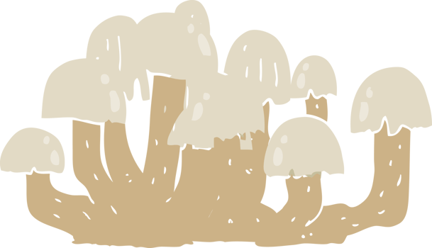 flat color style cartoon mushroom png