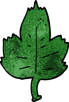 cartoon doodle leaf png