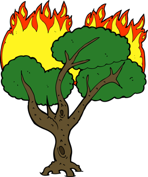 cartoon burning tree png