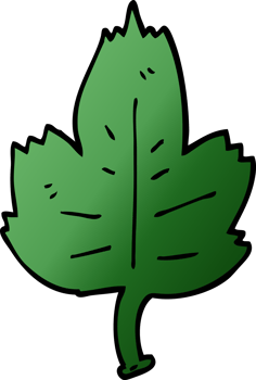 cartoon doodle leaf png