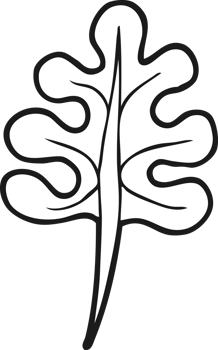 hand drawn black and white cartoon leaf png