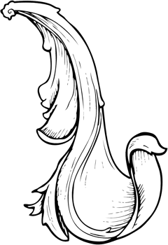 traditional hand drawn floral swirl png