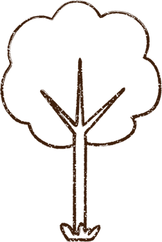 Tree Charcoal Drawing png