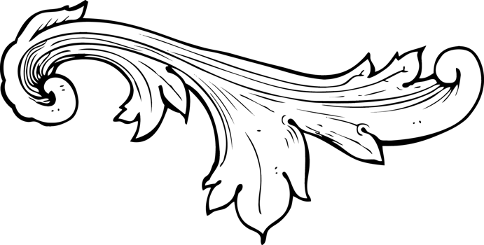 traditional hand drawn floral swirl png