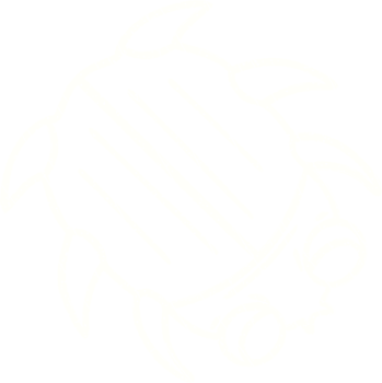 Bug Chalk Drawing png