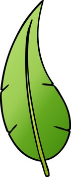 hand drawn gradient cartoon doodle of a green long leaf png