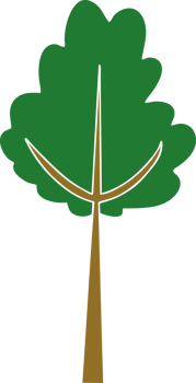 hand drawn quirky cartoon tree png