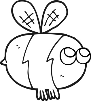 hand drawn black and white cartoon bee png