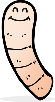 cartoon worm drawing png