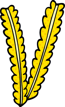 cartoon doodle strands of wheat png