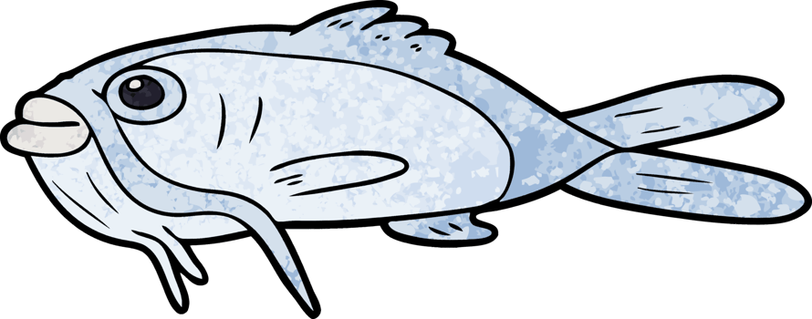 cartoon catfish drawing png