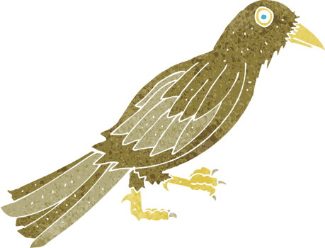 cartoon crow drawing png