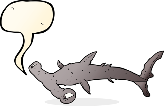 cartoon hammerhead shark with speech bubble png
