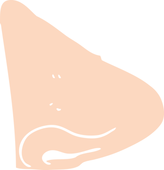flat color illustration of nose png