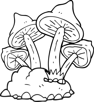hand drawn black and white cartoon mushrooms png
