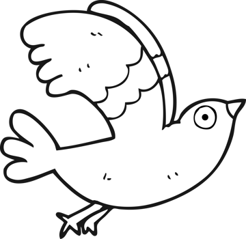 hand drawn black and white cartoon bird png