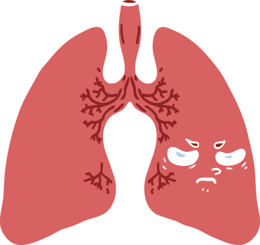 flat color style cartoon lungs png